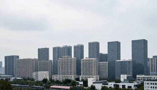 项目管理场景分析：5个检查要点提升应用效率